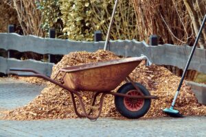gardening, wheelbarrows, nature-3997259.jpg